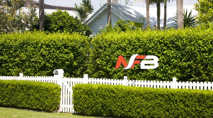 Hedges