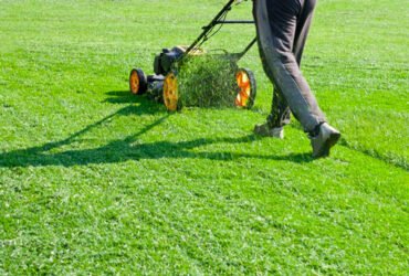 Lawn Maintenance