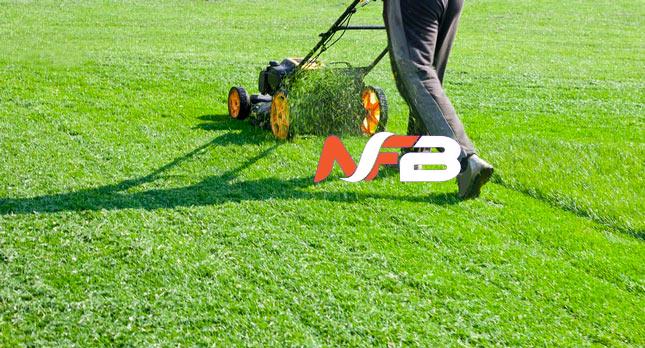Lawn Maintenance