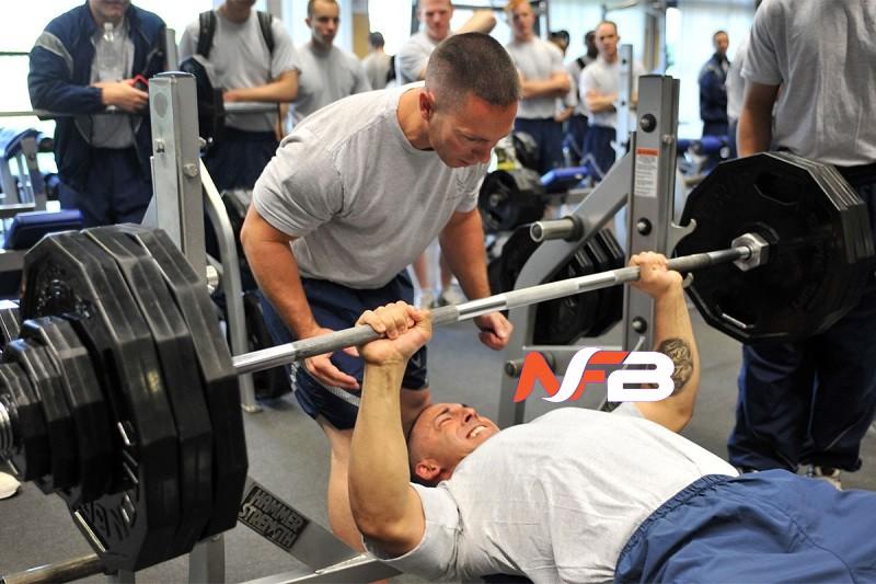 The Art of Bodybuilding: Oral Steroids - The Path to Powerful Muscles and Incredible Strength!