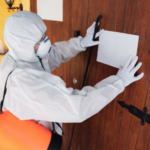 Comprehensive Residential and Commercial Pest Control Services