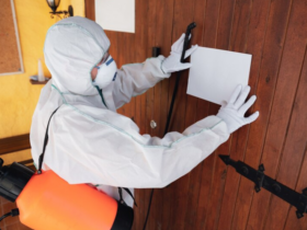 Comprehensive Residential and Commercial Pest Control Services