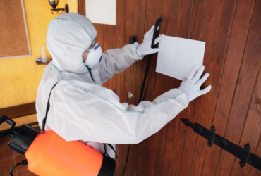 Comprehensive Residential and Commercial Pest Control Services