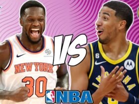 Pacers vs Knicks match player stats