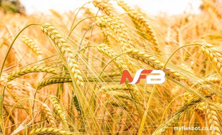 ancient wheat species