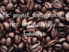 agile project management of coffee internationally in honduras