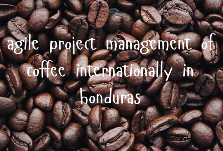 agile project management of coffee internationally in honduras