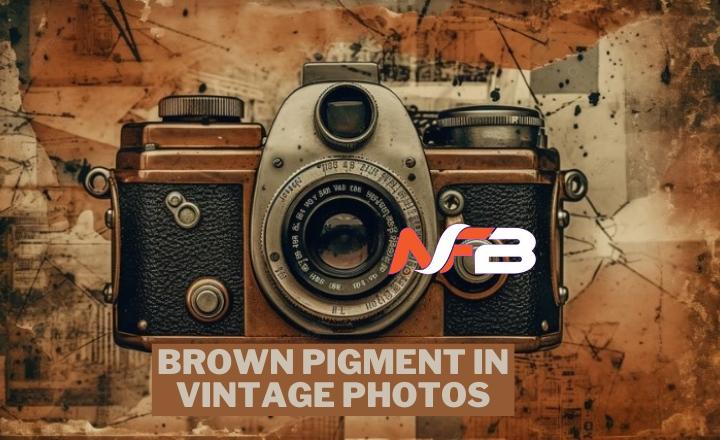 Brown pigment in vintage photos