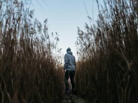 Seeking Companionship