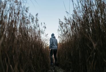 Seeking Companionship