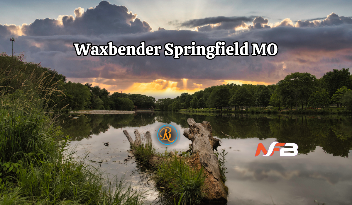 waxbender springfield mo