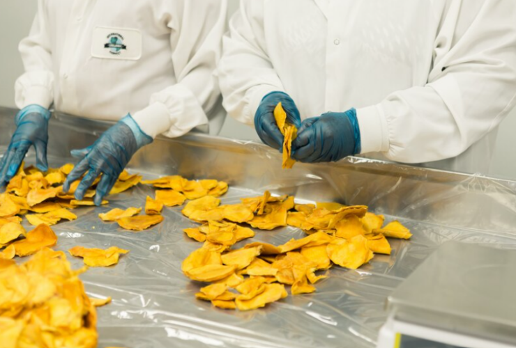 The Crucial Role of Food Grade Grease in Manufacturing Safety
