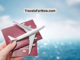 TravelsForNow.com