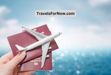 TravelsForNow.com