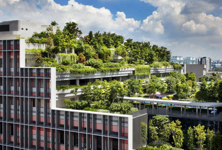 Application of artificial intelligence in green buildings