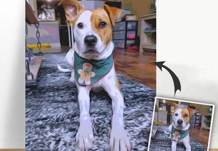 Why Personalized Paint by Numbers Is the Latest Art Trend in the UK