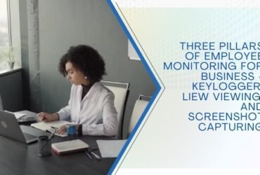 Three Pillars of Employee Monitoring for Business
