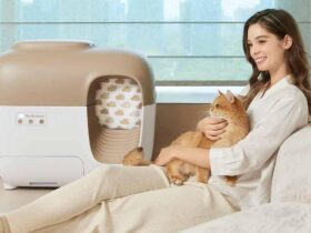 Why Pet Owners Love PetSnowy’s High-Tech Pet Care Solutions