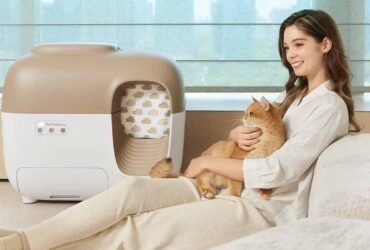 Why Pet Owners Love PetSnowy’s High-Tech Pet Care Solutions