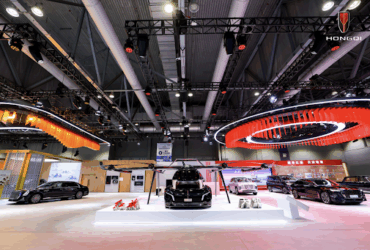 Golden Sunflower Meets Bauhinia