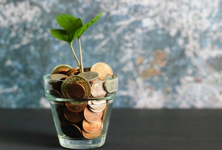 wenxuecity finance