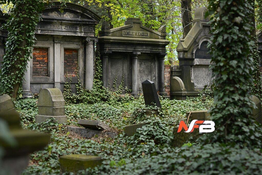 Robertson Drago Funeral Home Obituaries Guide to Services and Death