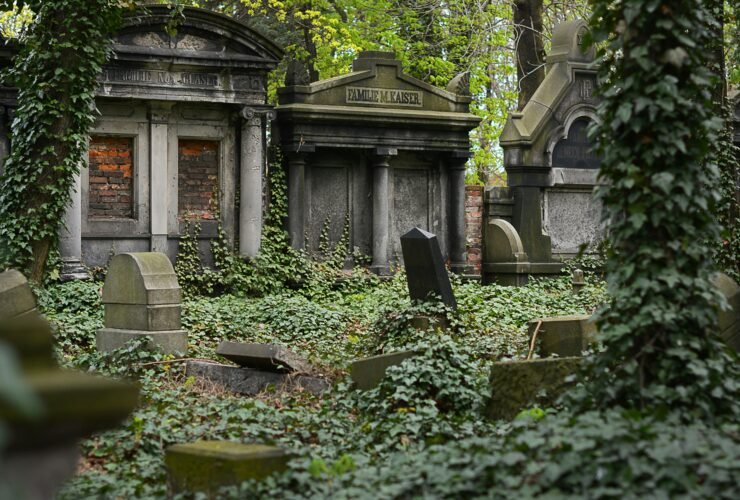 robertson drago funeral home obituaries