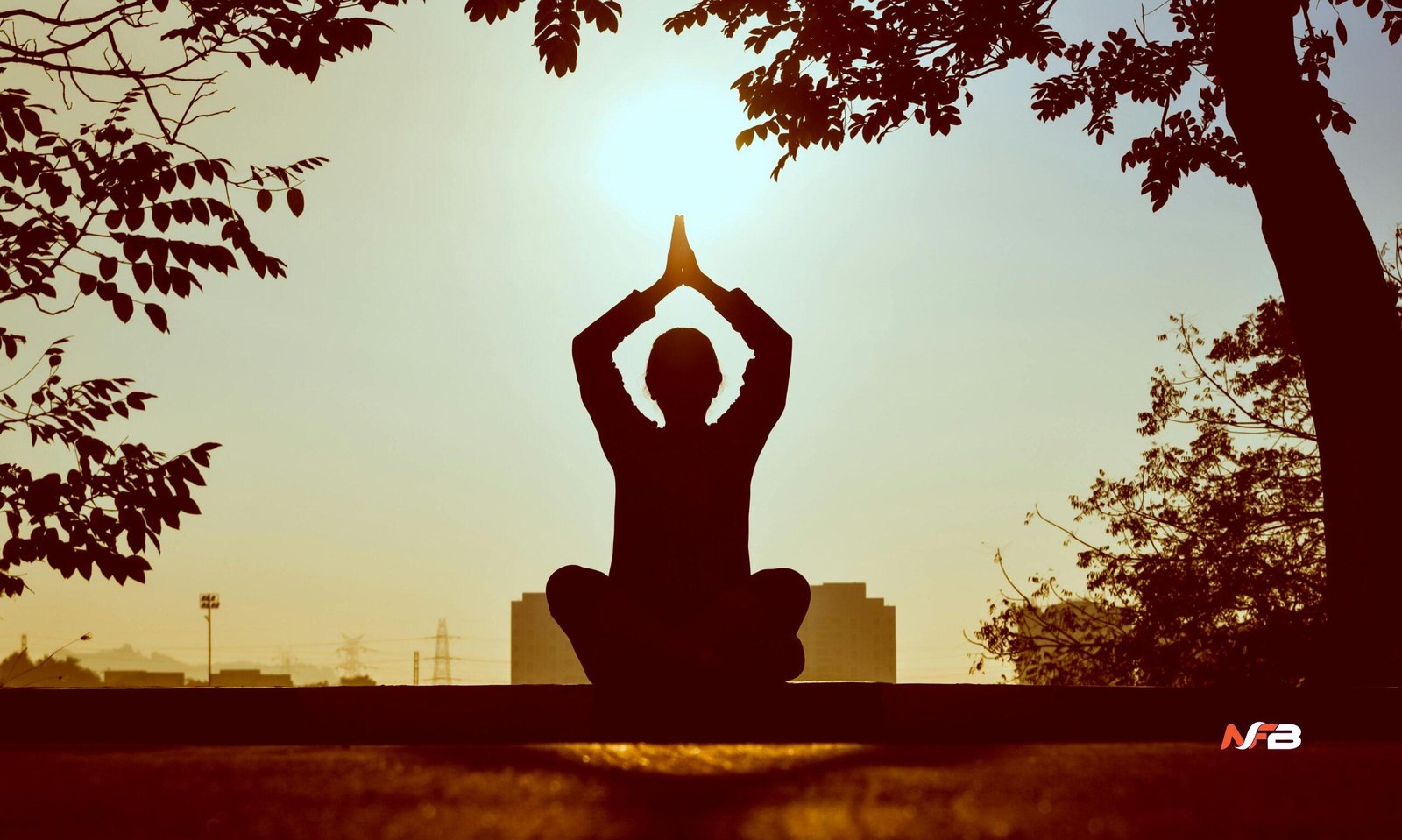 cedardale health and fitness