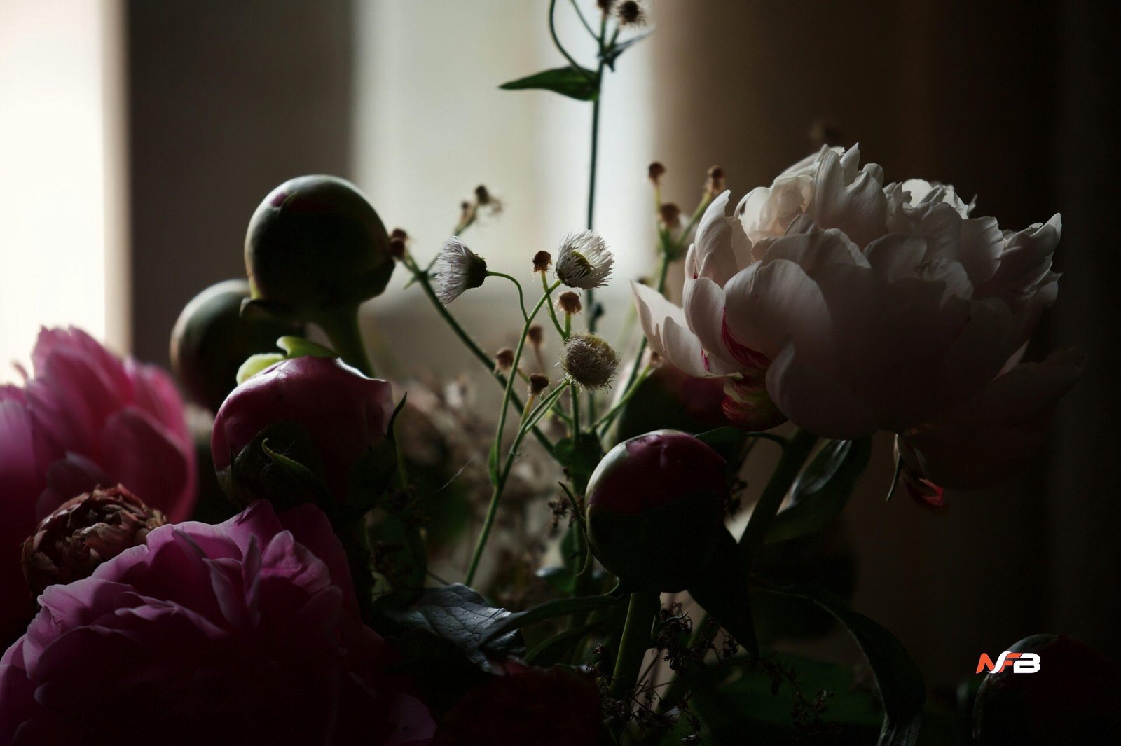 criss wagner hoskinson funeral home obituaries