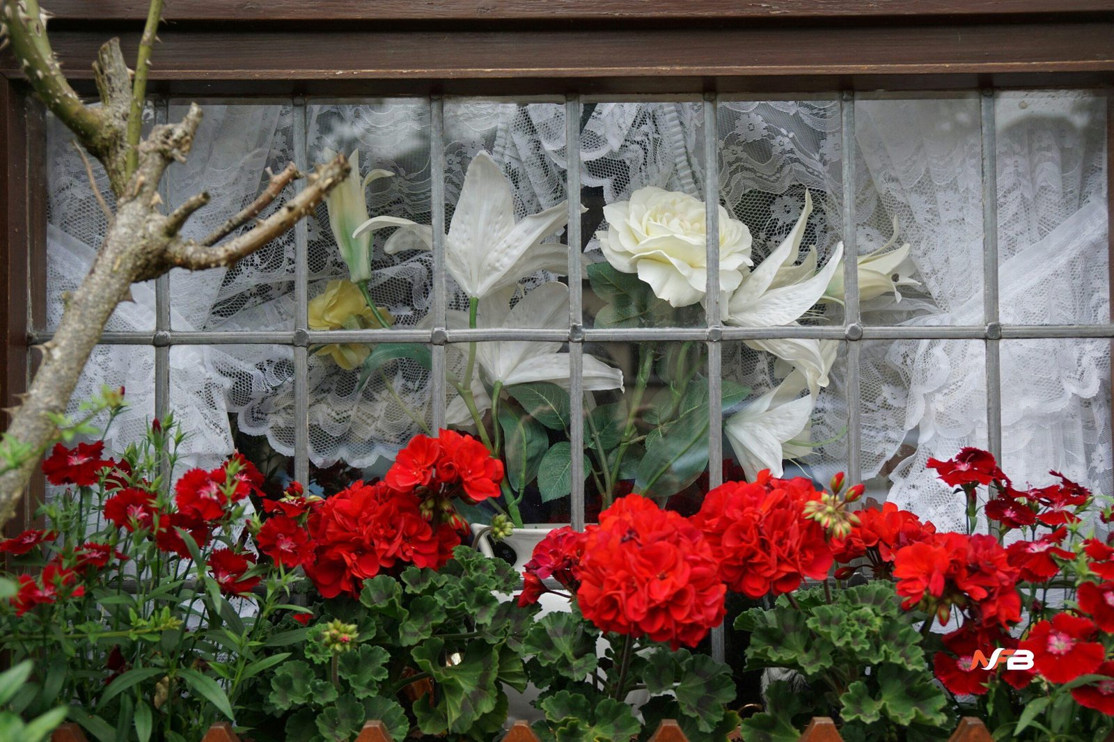 alvie coes funeral home obituaries