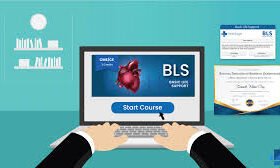 Online BLS Course