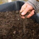 Test in Your Soil First