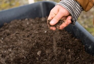 Test in Your Soil First