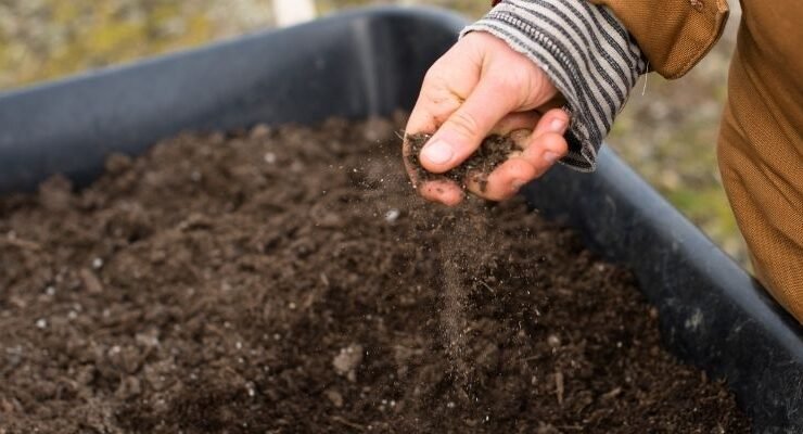 Test in Your Soil First